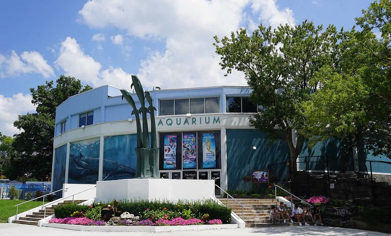 Aquarium of Niagara