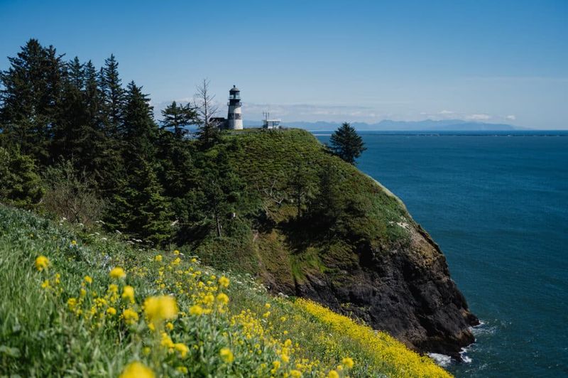 Long Beach Peninsula's Seaside Escape
