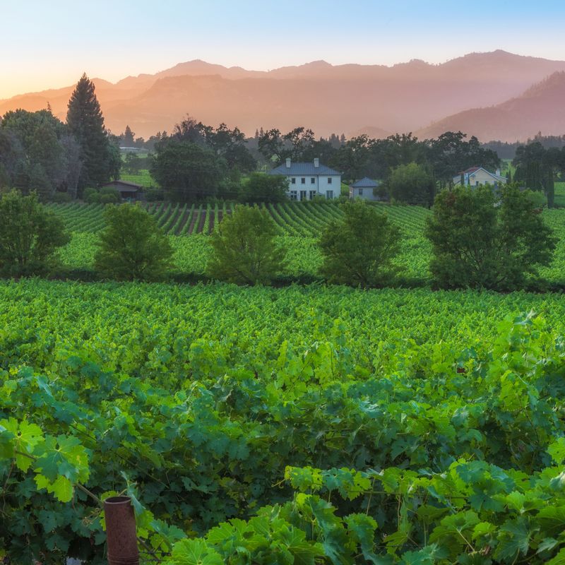 St. Helena