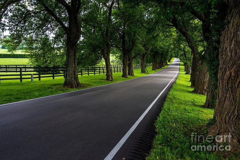 Pisgah Pike and Surrounding Horse Farms