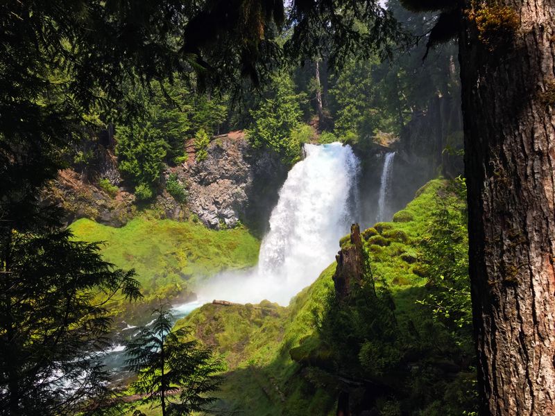 Eugene and McKenzie River Corridor
