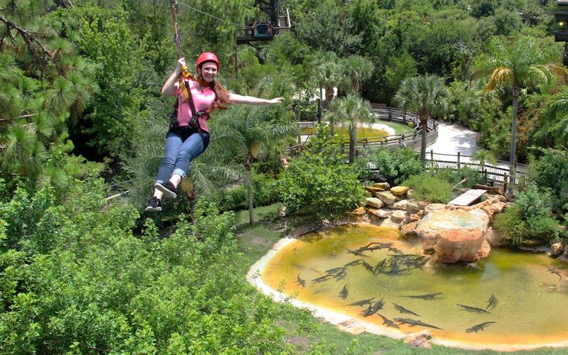 Gatorland (and the zip line) – Orlando