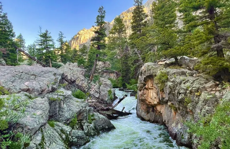 Fern Falls