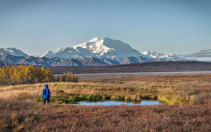 Denali’s Backcountry, Alaska