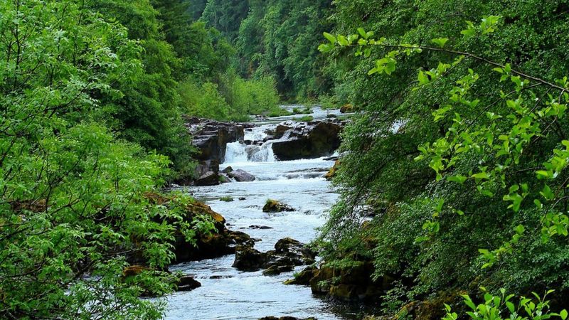 Sandy River's Dodge Park Death Run