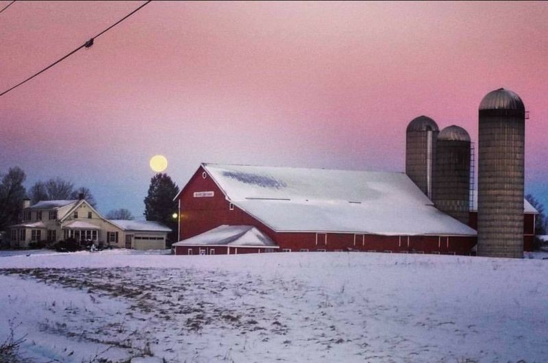 Memory Lane Farm (Avon, Western NY)