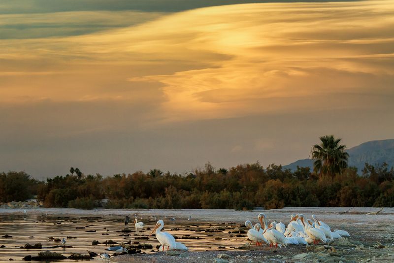 Salton Sea