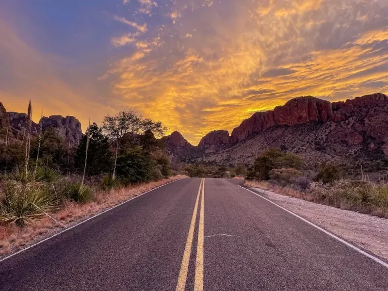 Chisos Basin Road