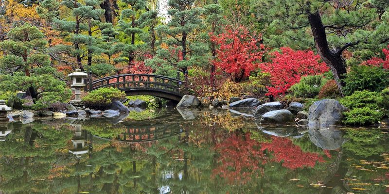 Anderson Japanese Gardens' Autumn Tranquility