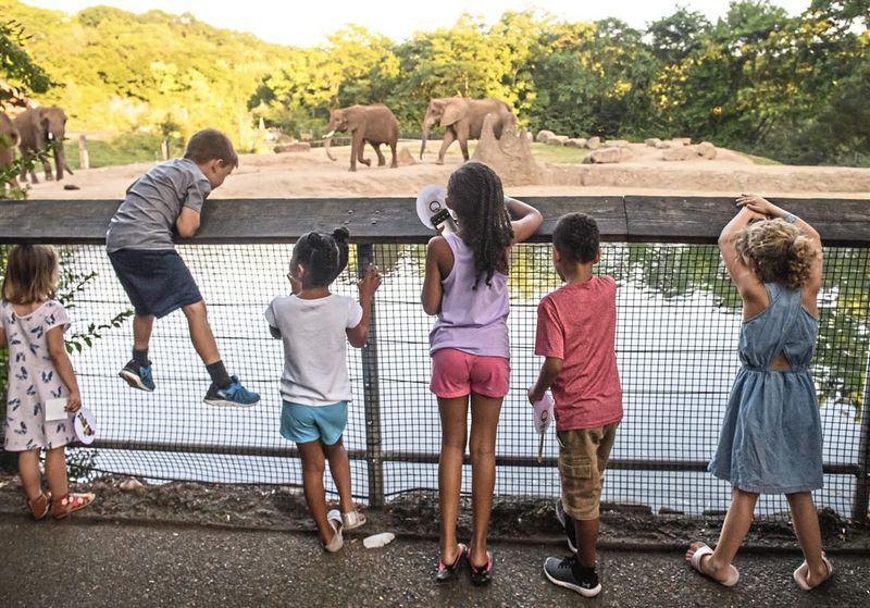 Pittsburgh Zoo and PPG Aquarium