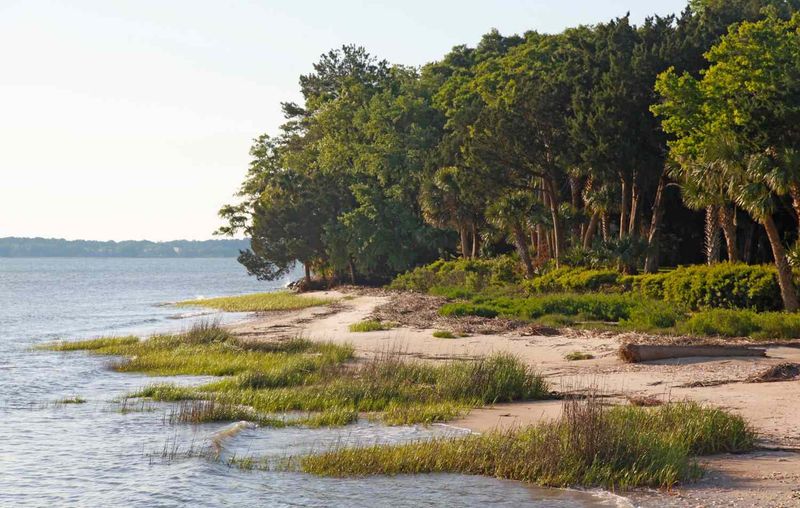 Dog Island