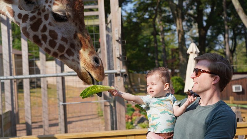 Elmwood Park Zoo in Norristown