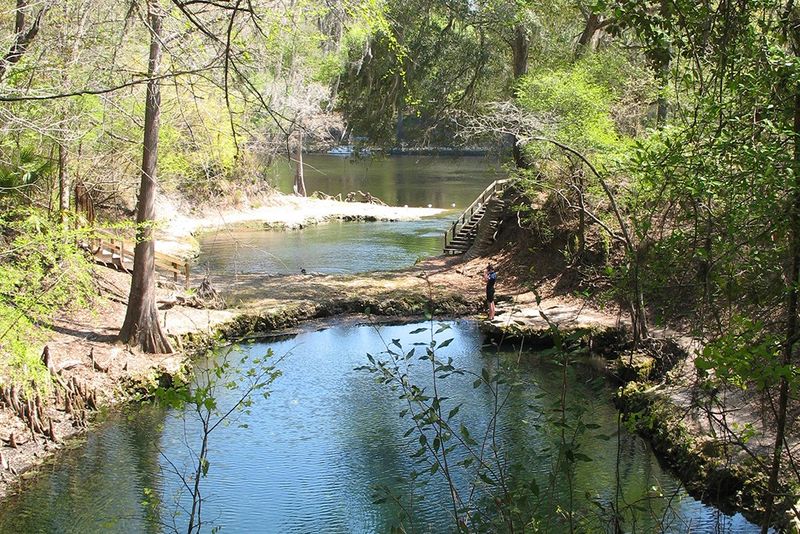 Lafayette Blue Springs: The River Paddler's Reward