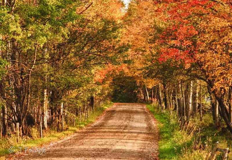 The Back Road Commute Philosophy