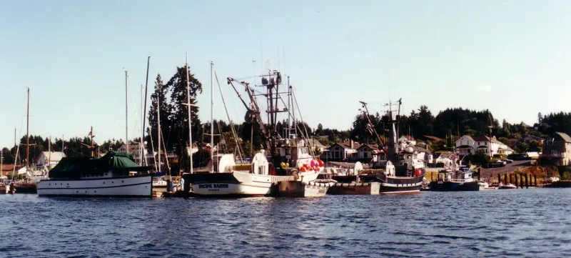 Gig Harbor: Where Traffic Jams Replace Boat Commutes