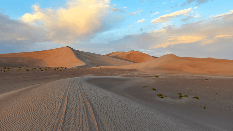 Sensitive Desert Ecosystems (Including Off-Trail Dunes)