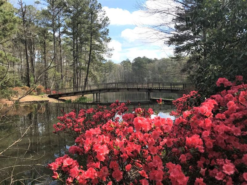 Callaway Gardens, Georgia