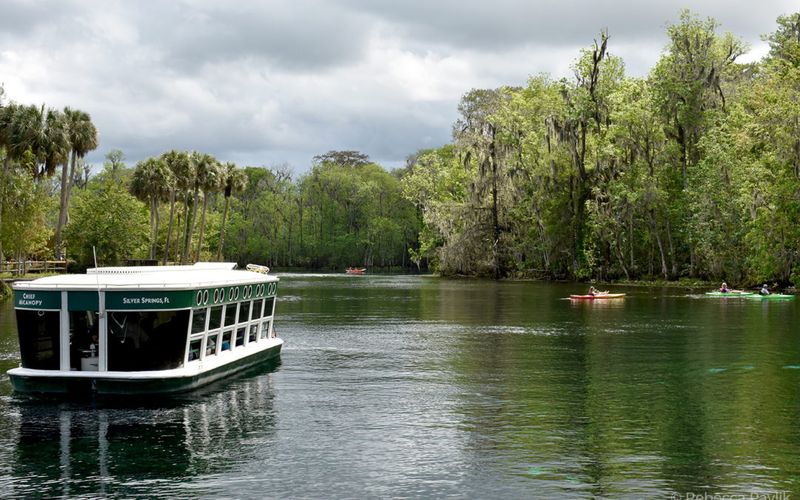 Silver Springs State Park