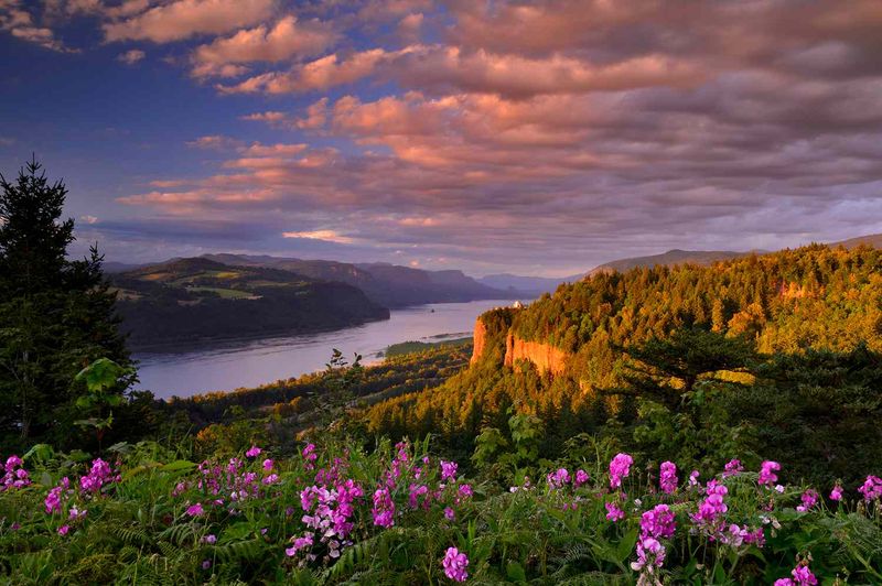 Columbia River Gorge (Maryhill area)