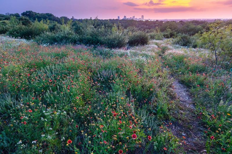 Tandy Hills Natural Area: Fort Worth's Prairie Jewel