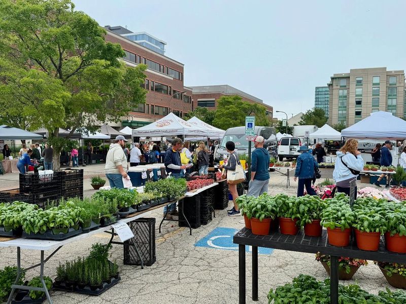 Downtown Evanston Farmers' Market: Half-Century of Harvest
