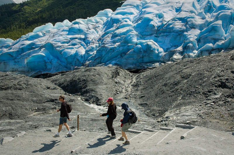 Exit Glacier Wildlife Corridor