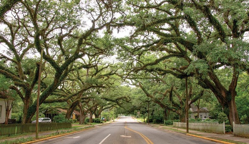 Antebellum Trail Connecting Historic Towns