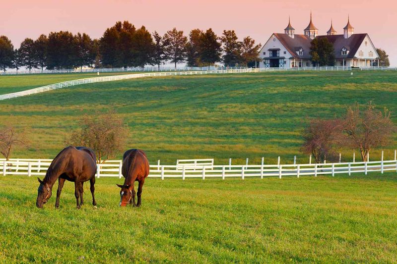 Iron Works Pike and Equine Estates