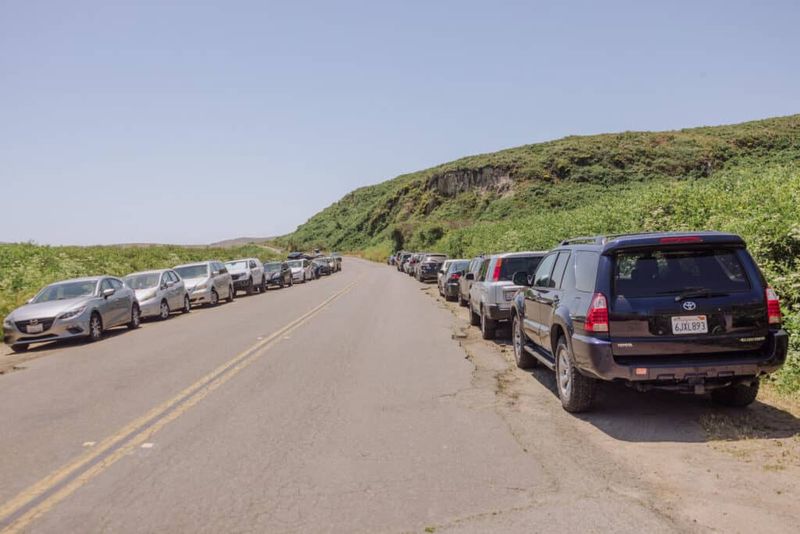 Point Reyes National Seashore Free Parking Secrets