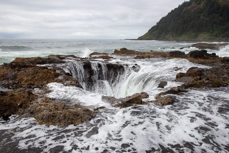 Cape Perpetua Scenic Area