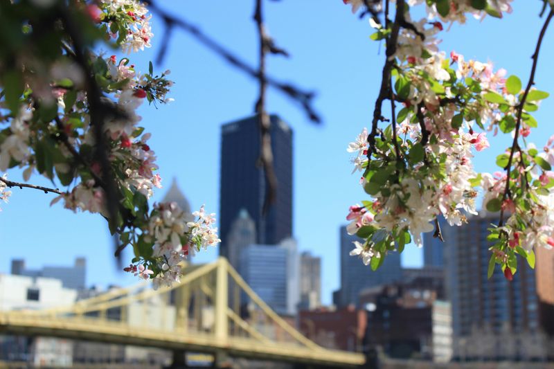Pittsburgh, Pennsylvania: Steel City's Green Transformation