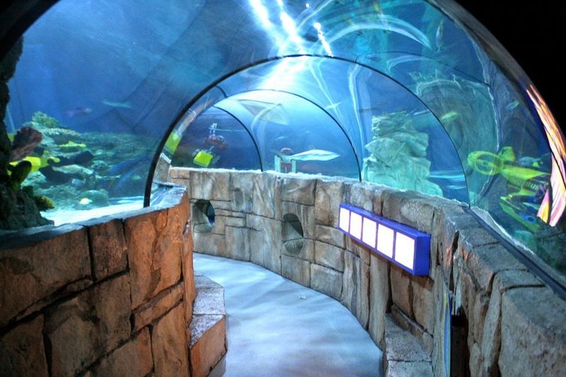 Sea Life Aquarium at Legoland California