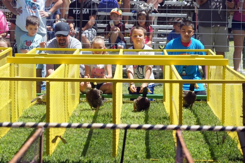 Deming Duck Races & Great American Duck Race