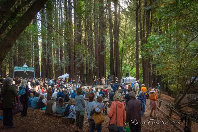 Mill Valley Fall Arts Festival