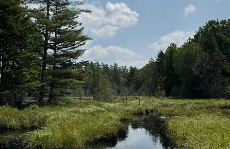 Red Horse Trail (Five Pond and Pepperbox Wilderness)