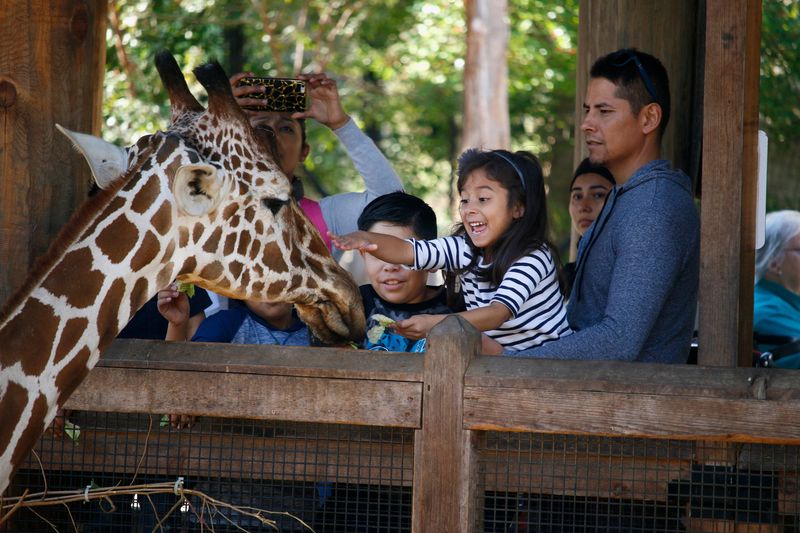 The Dallas Zoo's Wild Animal Encounters