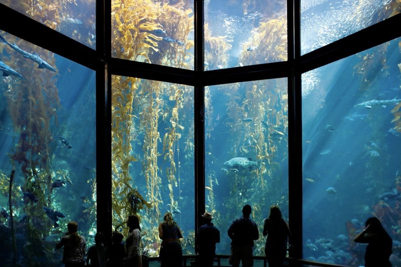 Santa Monica Pier Aquarium