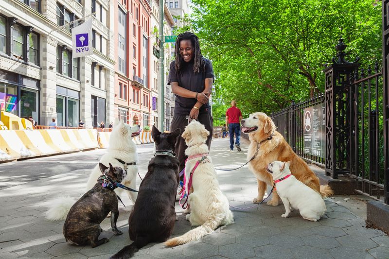 Dog Walker Networking Summits
