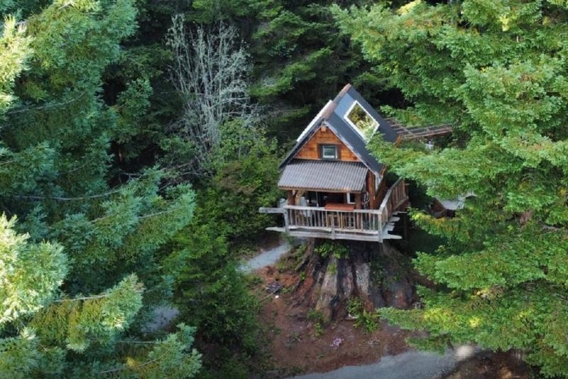Fern Canyon Hideaway: Redwood Coast Serenity