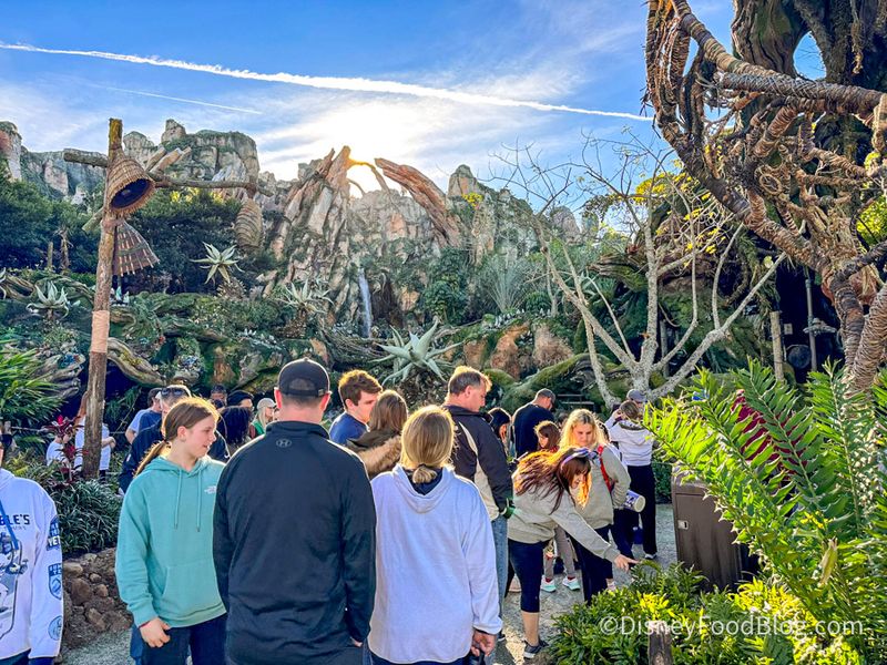 Avatar Flight of Passage (Animal Kingdom, Walt Disney World)