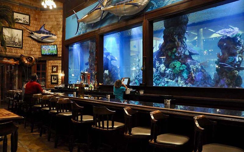 Islamorada Fish Company (Bass Pro Shops)