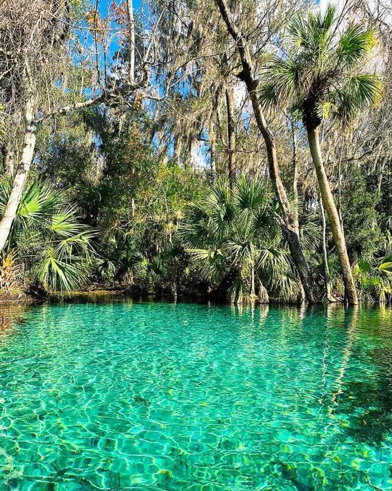 Rainbow Springs: Nature's Watercolor Palette