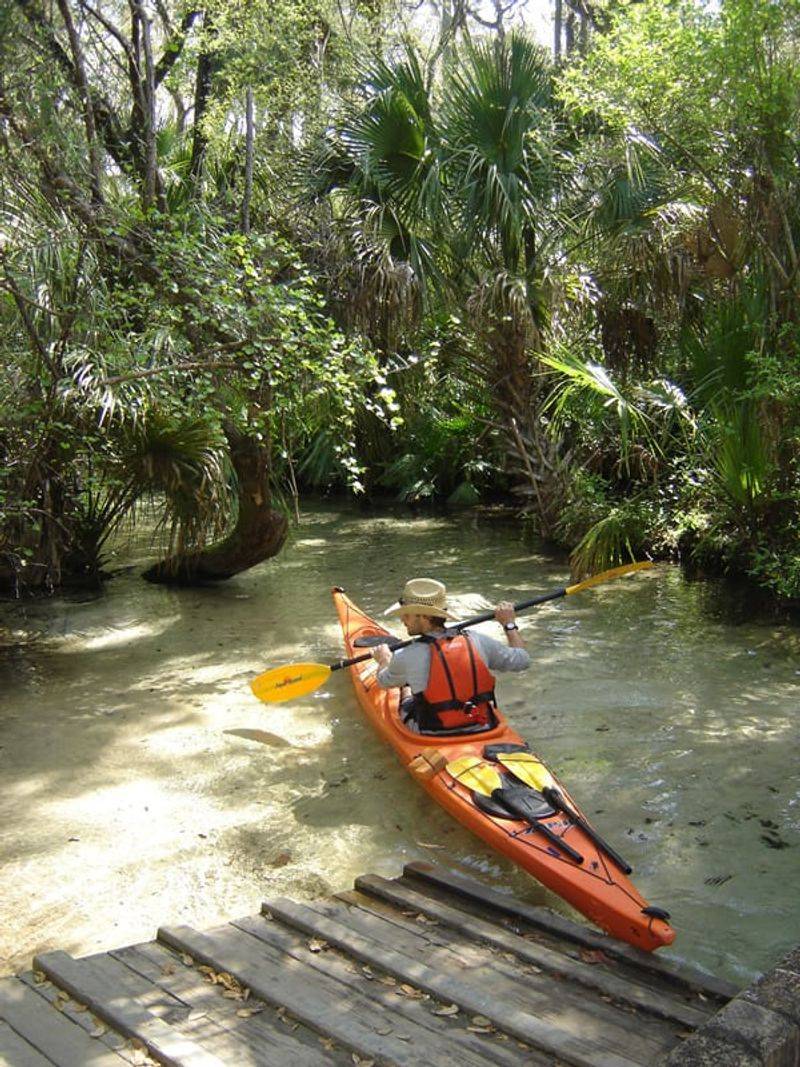 Juniper Springs Run - The Challenging Beauty