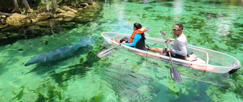 Three Sisters Springs: Crystal Canoe Adventures
