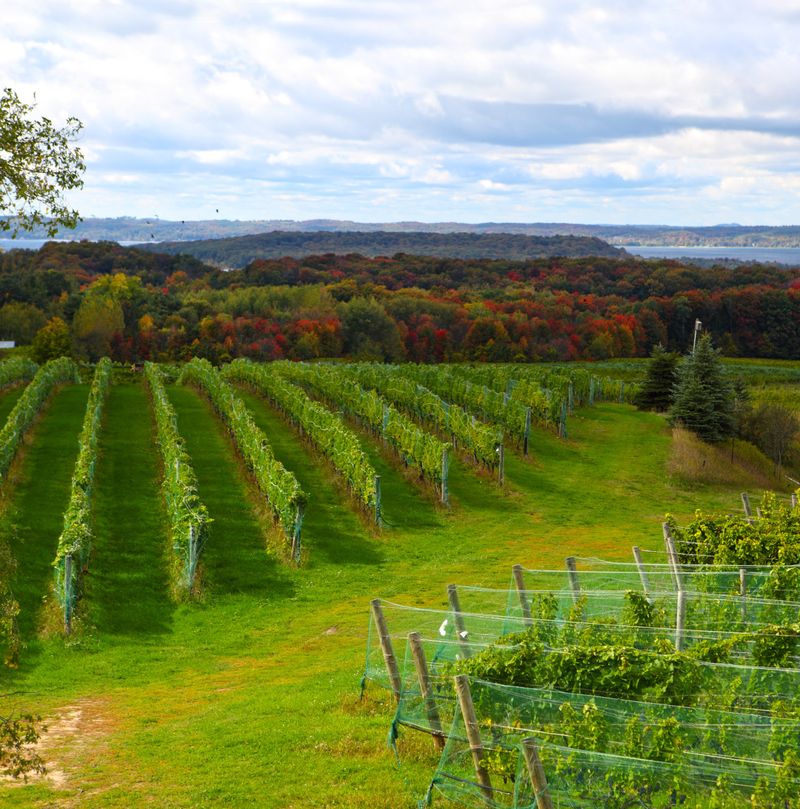 Starved Rock Country Scenic Drives and Wineries