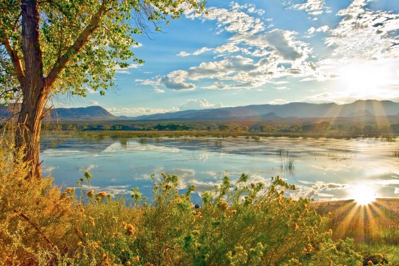 Pahranagat National Wildlife Refuge Lakes