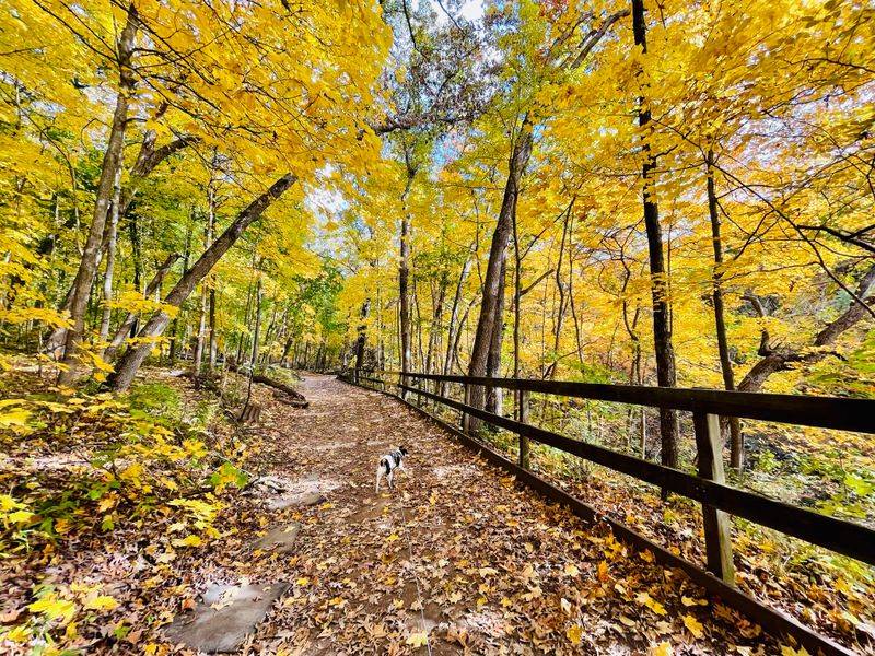Matthiessen State Park's Hidden Dells