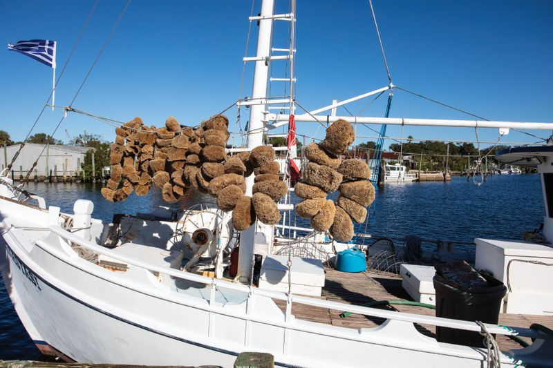Tarpon Springs Sponge Docks