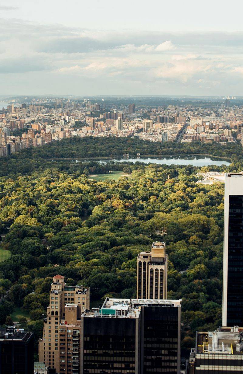 New York City, New York: Concrete Jungle's Green Heart