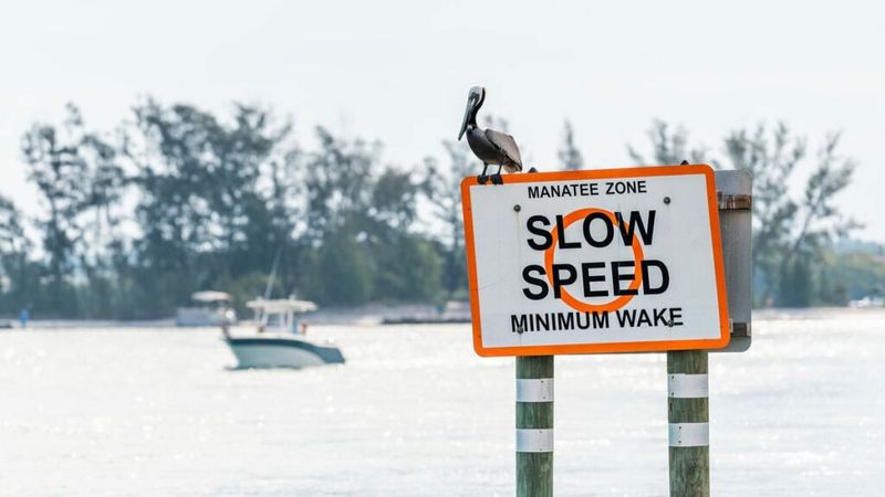 Manatee Protection Zones